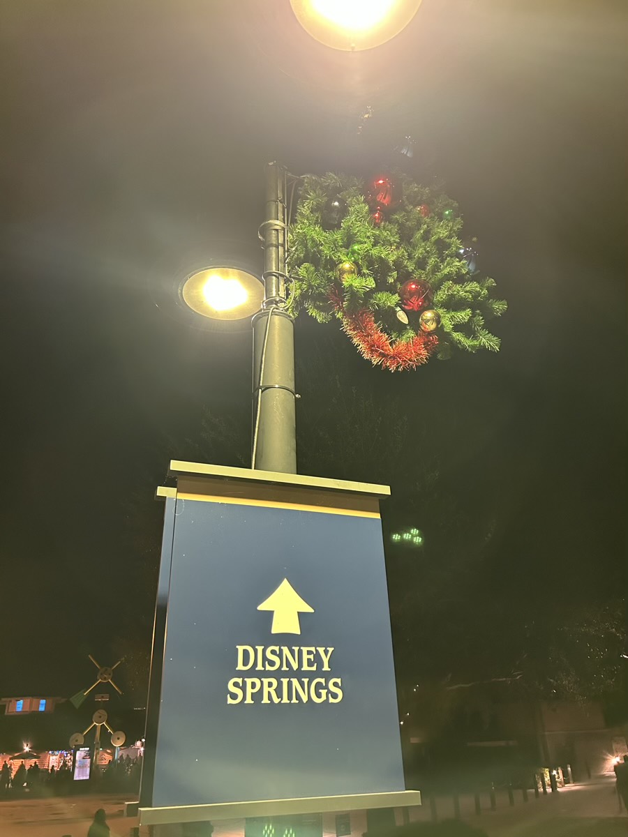 Disney Springs