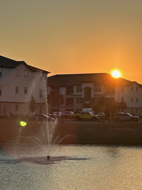 Sun setting, water fountain