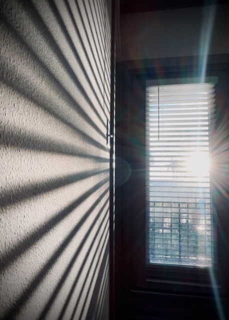 Sunshine through a windowed door casting shadows of blinds on a wall