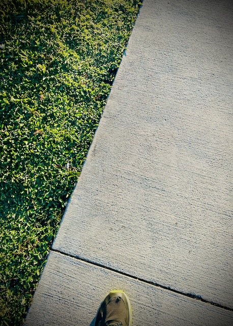 Sidewalk with grass and a shoe