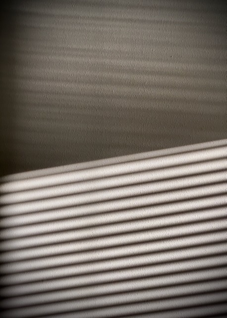 Shadows on a wall
