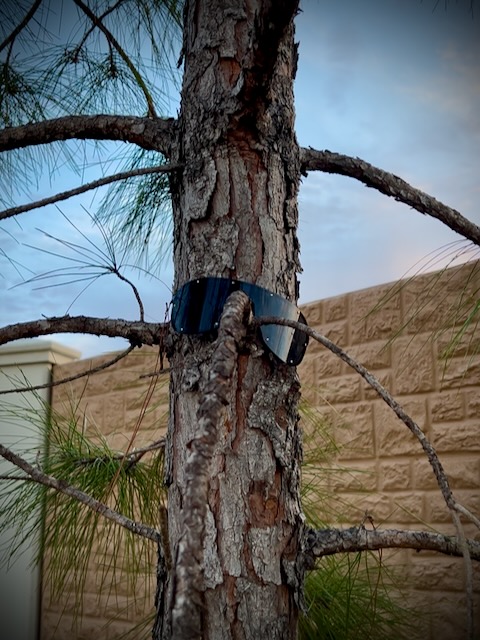 Tree with sunglasses