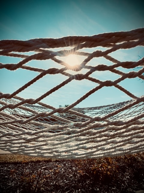 Sunbeams through a hammock