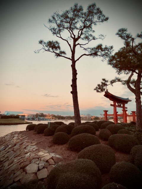 Torii gate