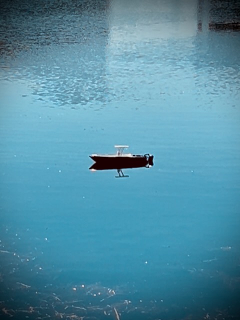 Model boat on a pond