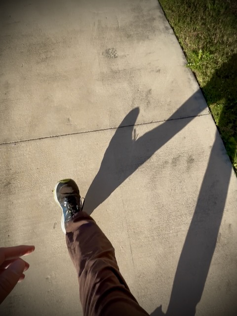 Hand, leg, and foot