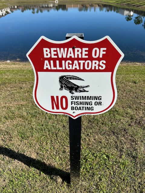 Sign warning about alligators
