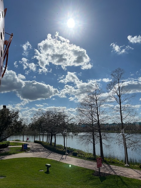 Sun over a lake