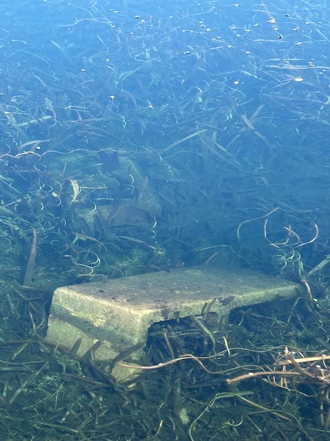 Blocks in water