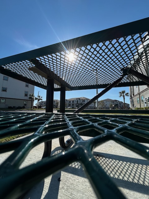 Picnic table with the sun glaring through