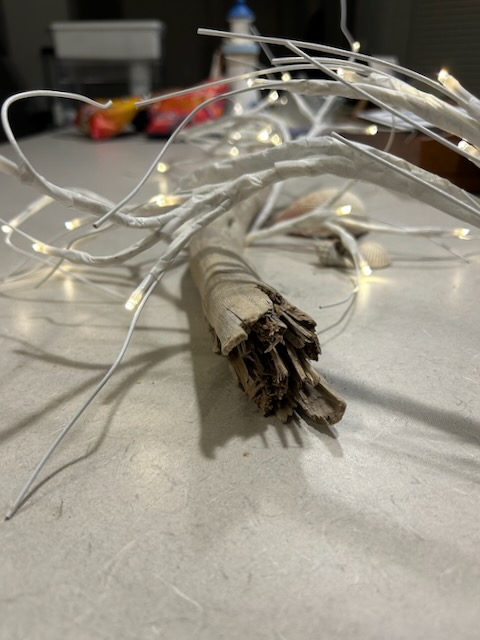 Lights and branch