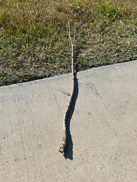 Stick