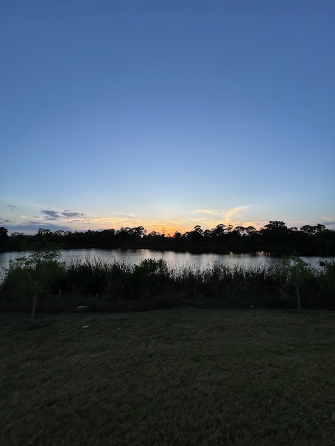 Sunset over trees and a lake