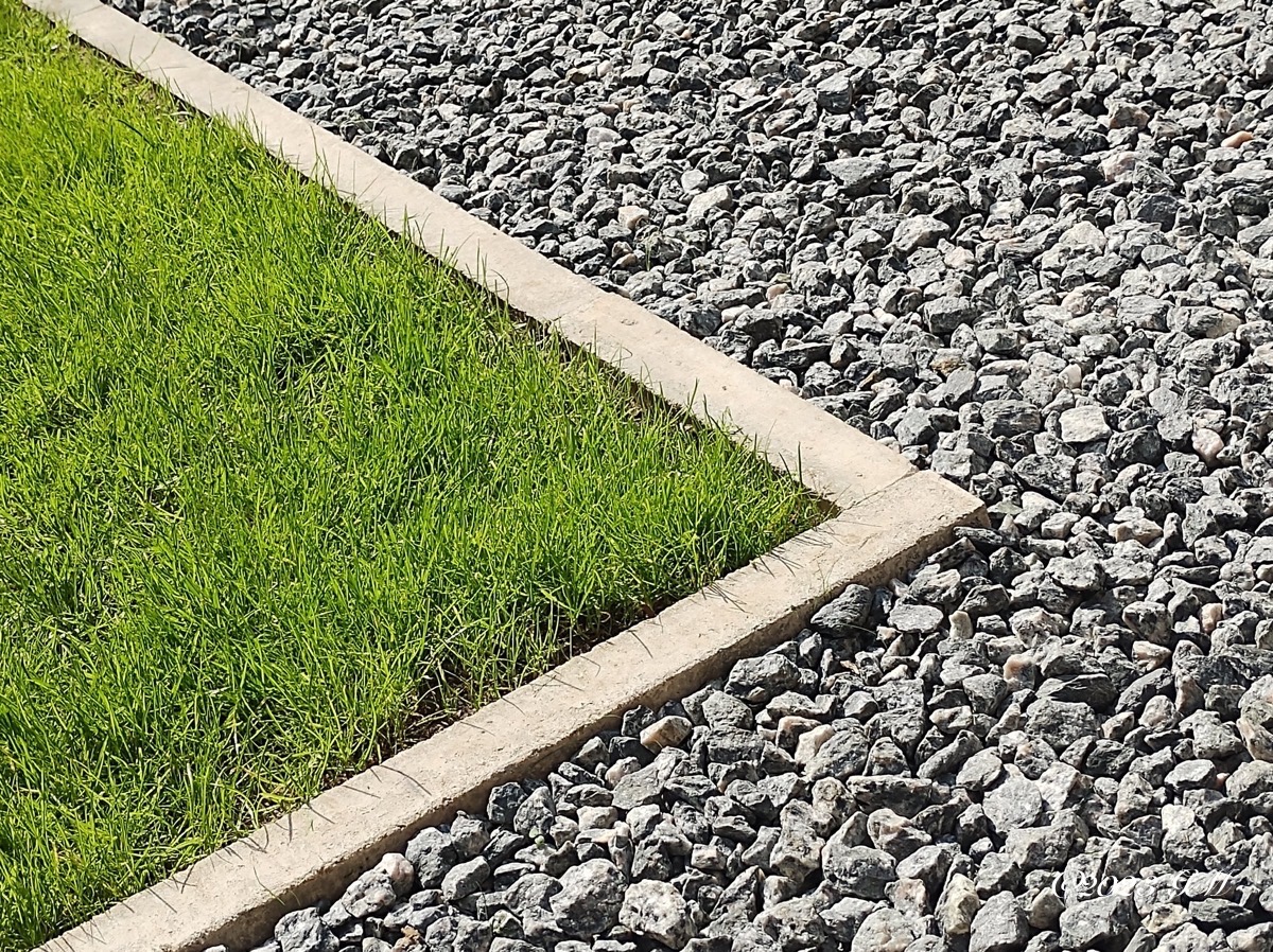 Grass with a concret border separating grass from gravel